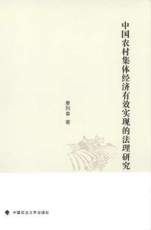 中國(guó)農(nóng)村集體經(jīng)濟(jì)有效實(shí)現(xiàn)的法理研究